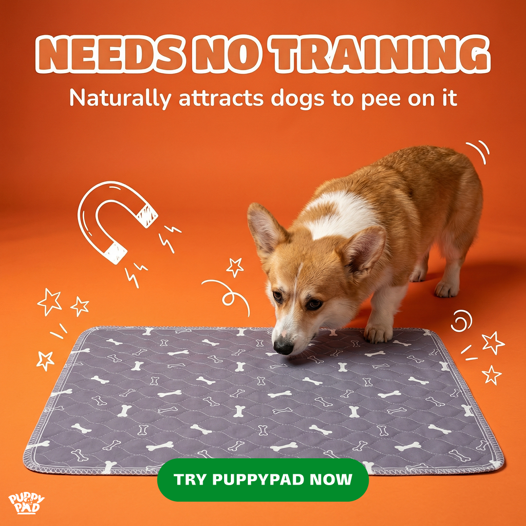 PuppyPad Facebook ad