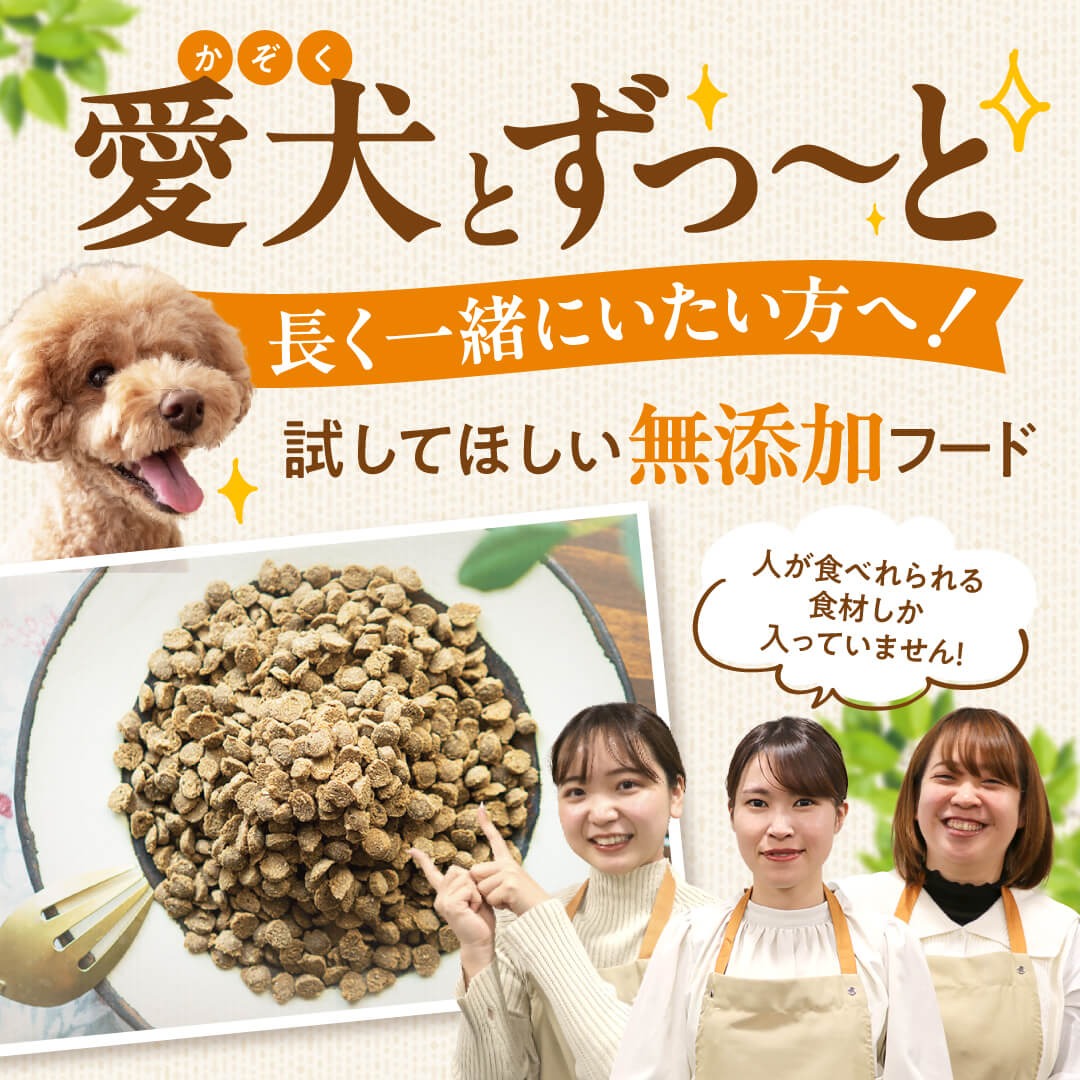 健康いぬ生活 Facebook ad