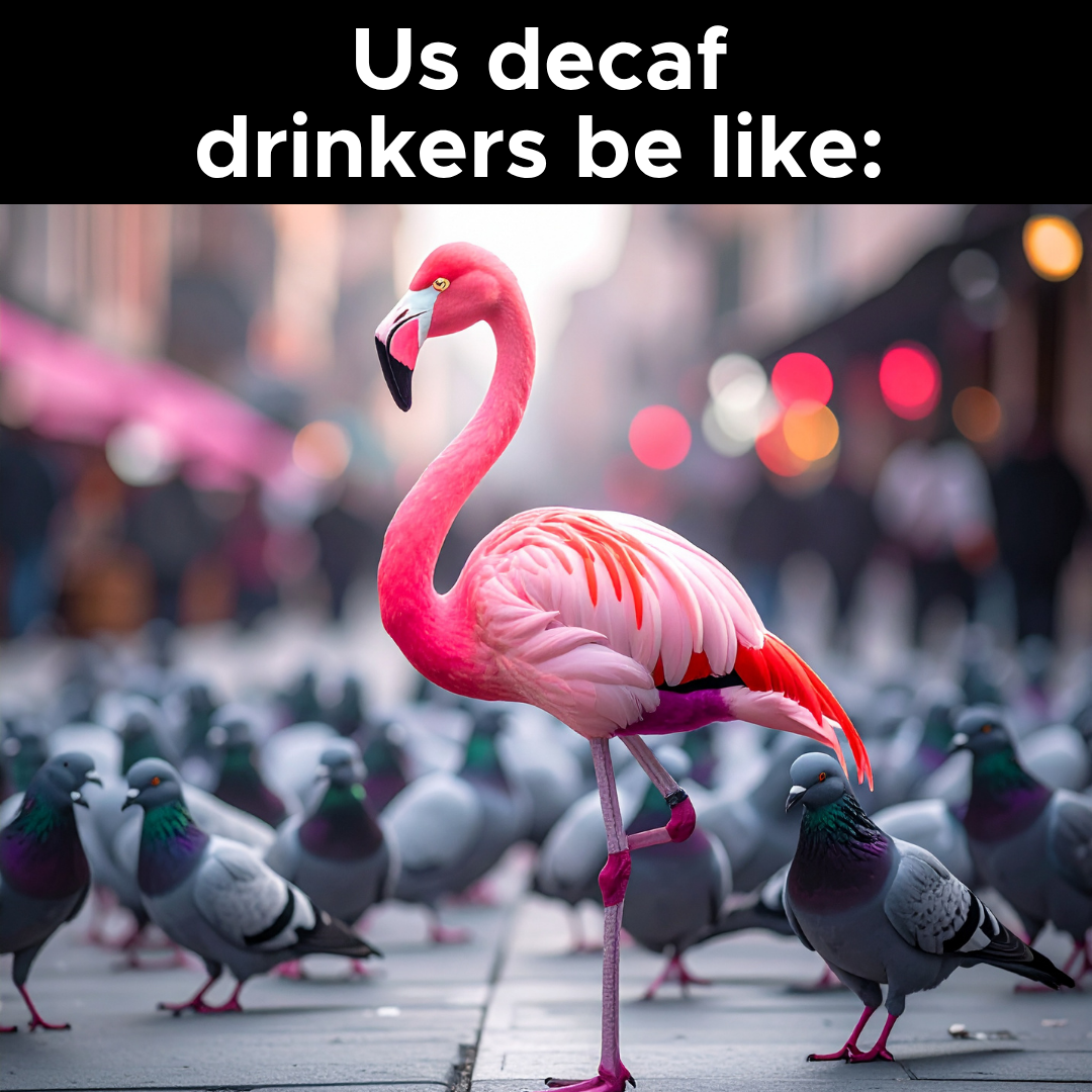 Lifeboost Coffee Facebook ad