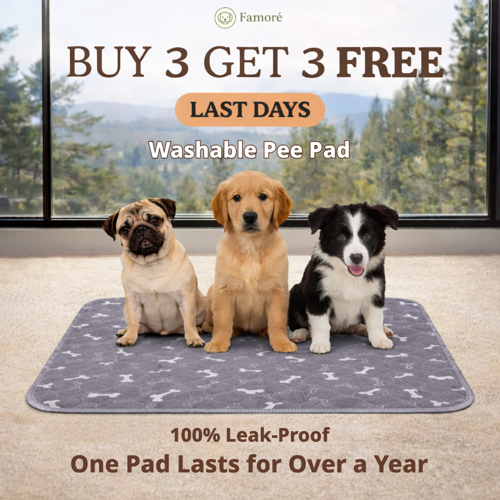Famoré Pet Facebook ad: FREE PAD WITH EVERY BUNDLE