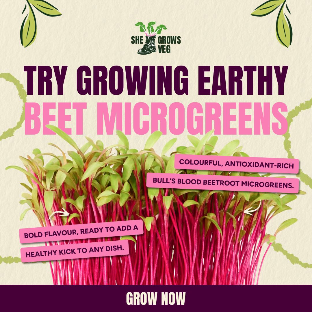 Shegrowsveg Facebook ad from Mar 5, 2026