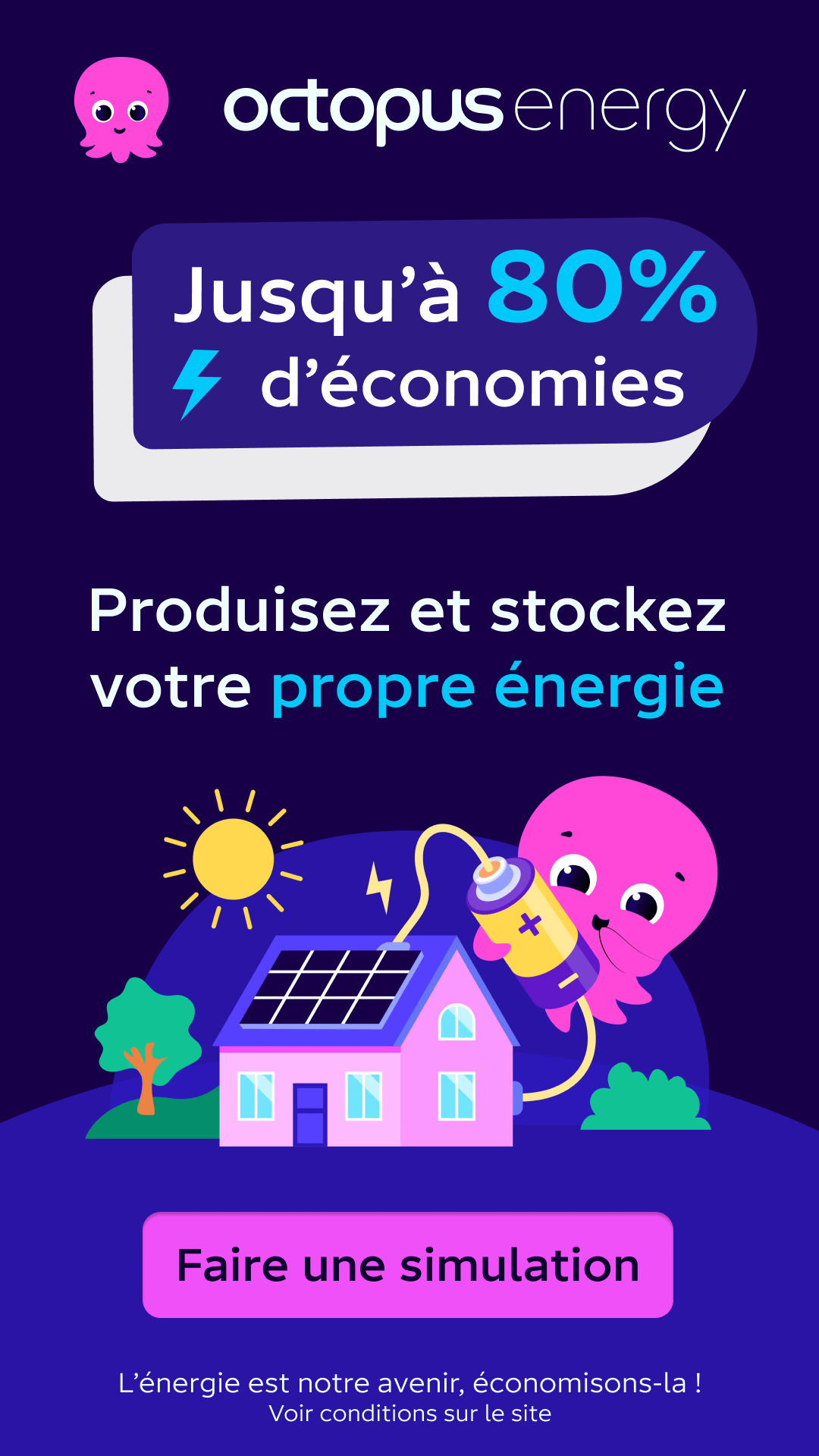 Octopus Energy Facebook ad