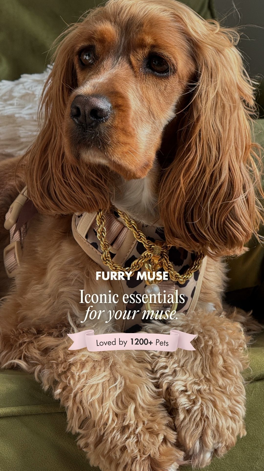 Furry Muse Facebook ad