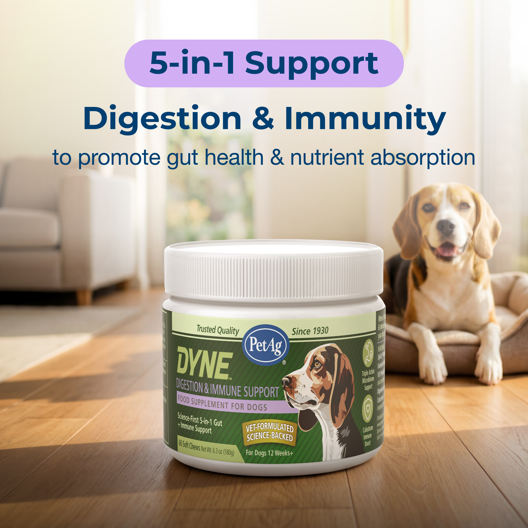 Pet-Ag Pet Products Facebook ad: Support Digestion & Immunity