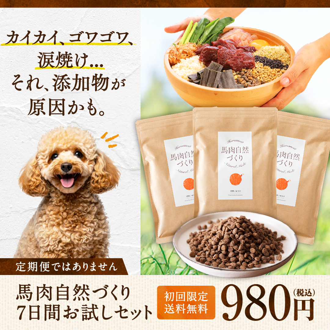 健康いぬ生活 Facebook ad