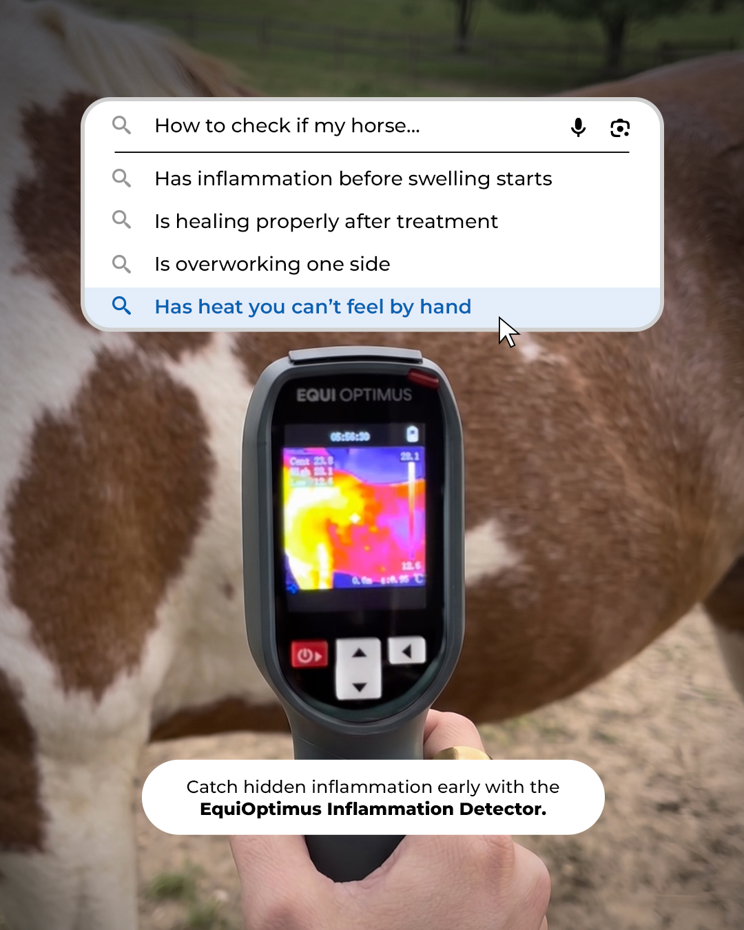 Chevaroo Facebook ad