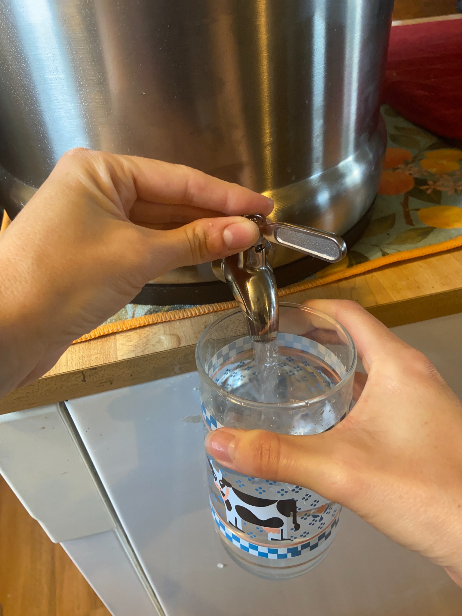 Scrunchyish Homesteading Facebook ad
