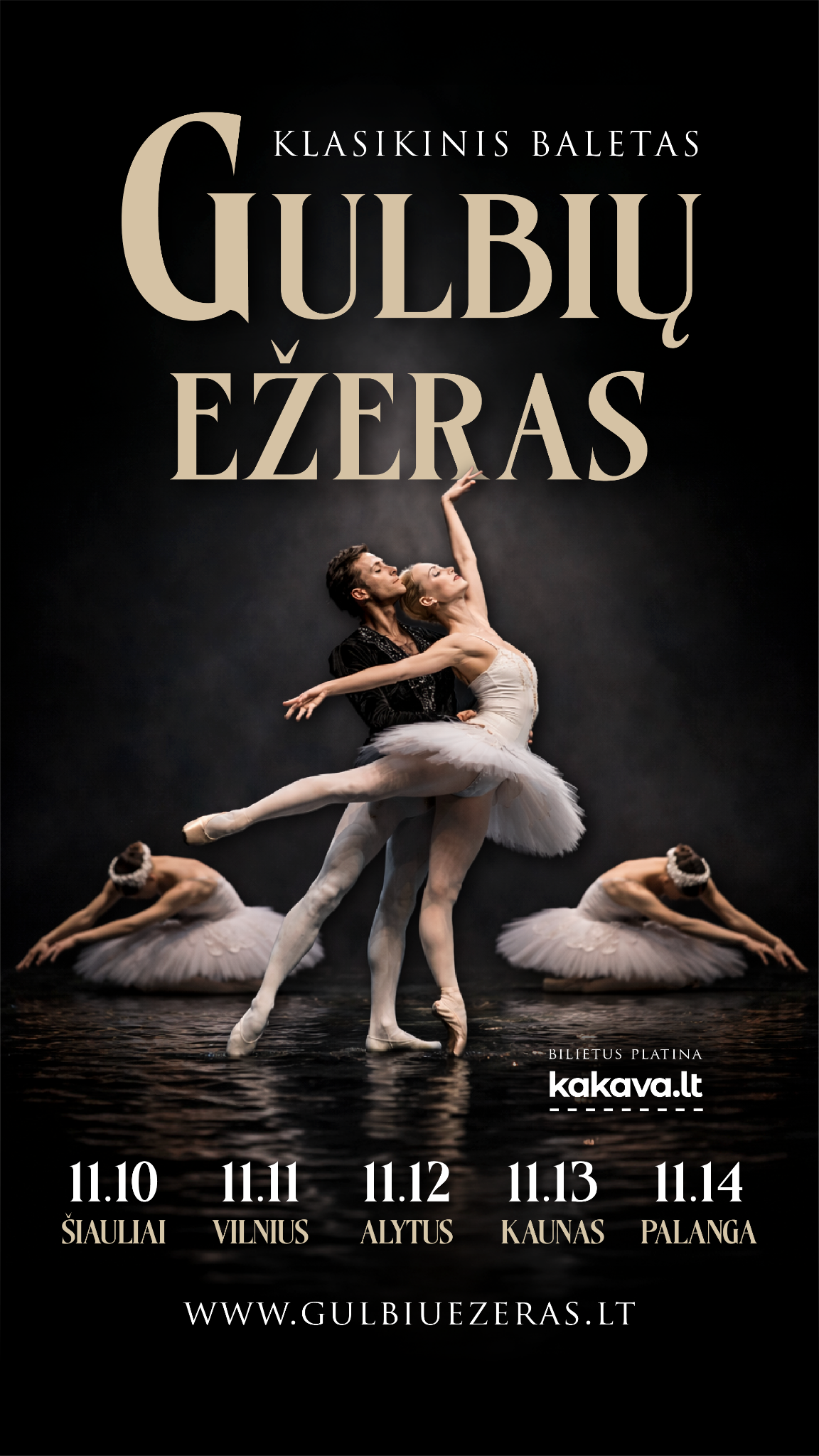 Makroconcert Facebook ad: Klasikinis baletas Gulbių ežeras