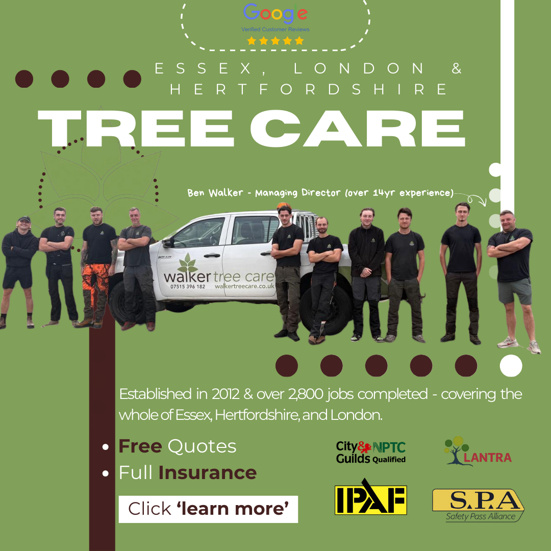 Walker Tree Care Facebook ad
