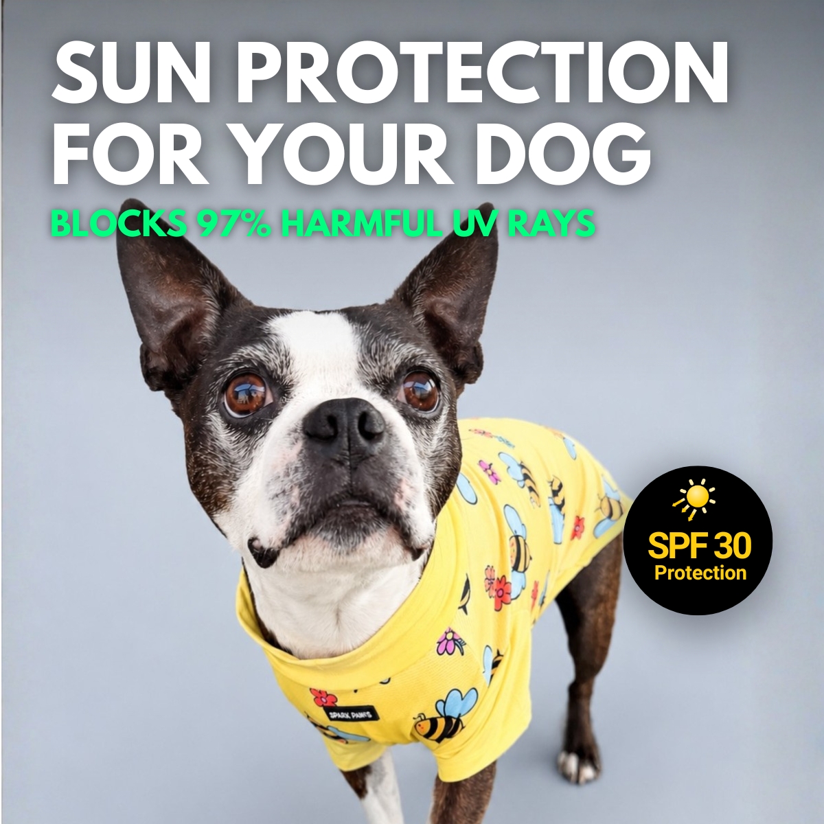 Spark Paws Facebook ad