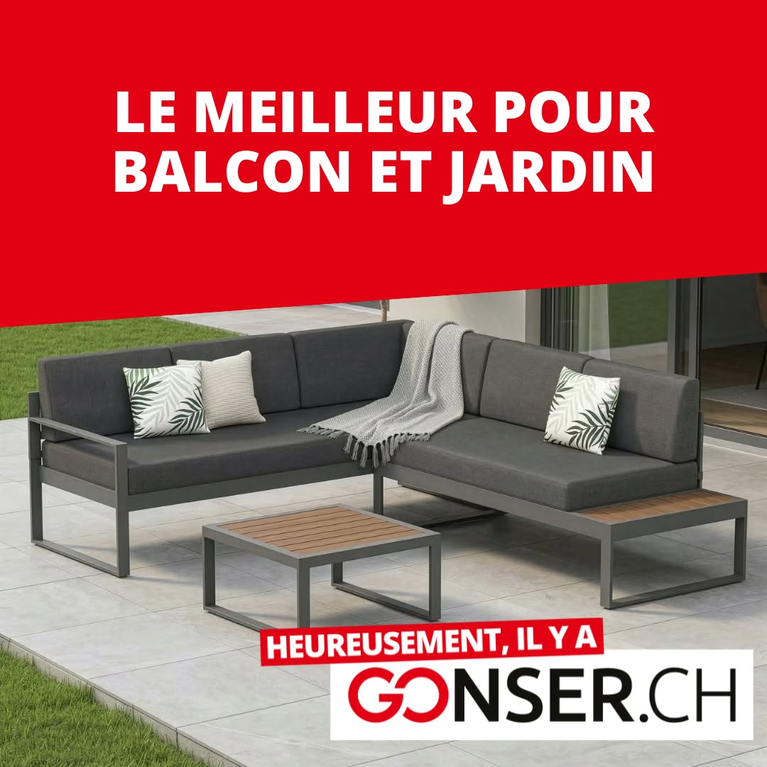 Gonser AG  Facebook ad