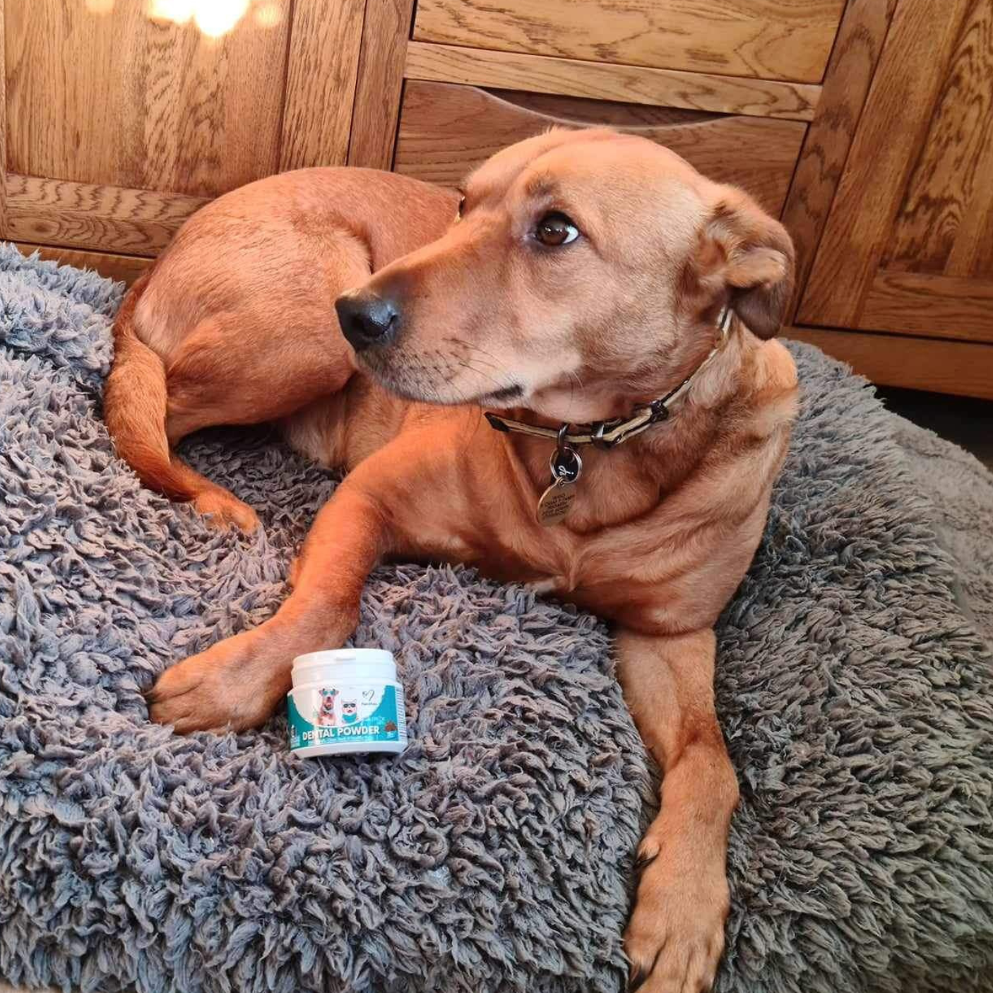 Nutri Paw Facebook ad