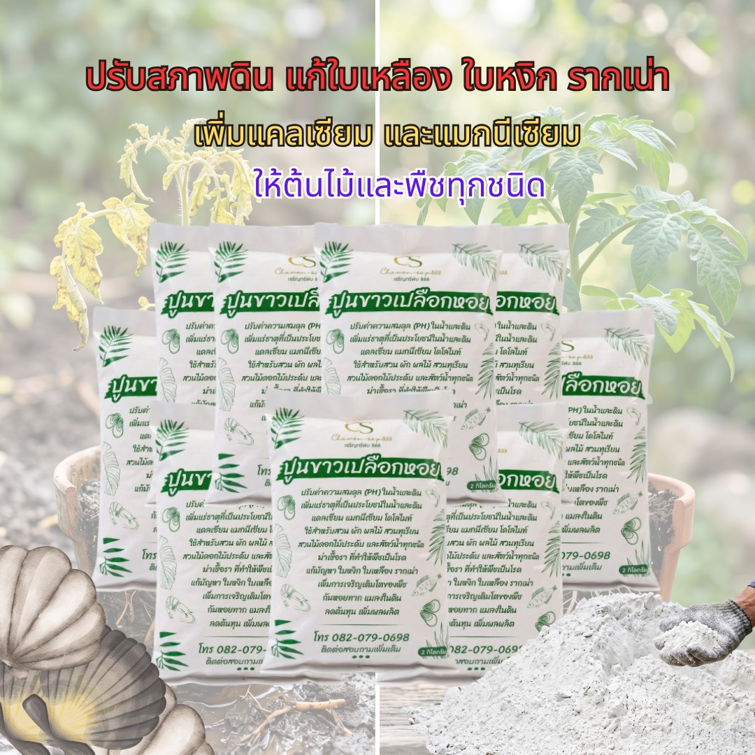 ปูนขาวเปลือกหอยแท้ ใบเหลือง ใบหงิก เชื้อราในดิน รากเน่า โทร.0820790698 Facebook ad