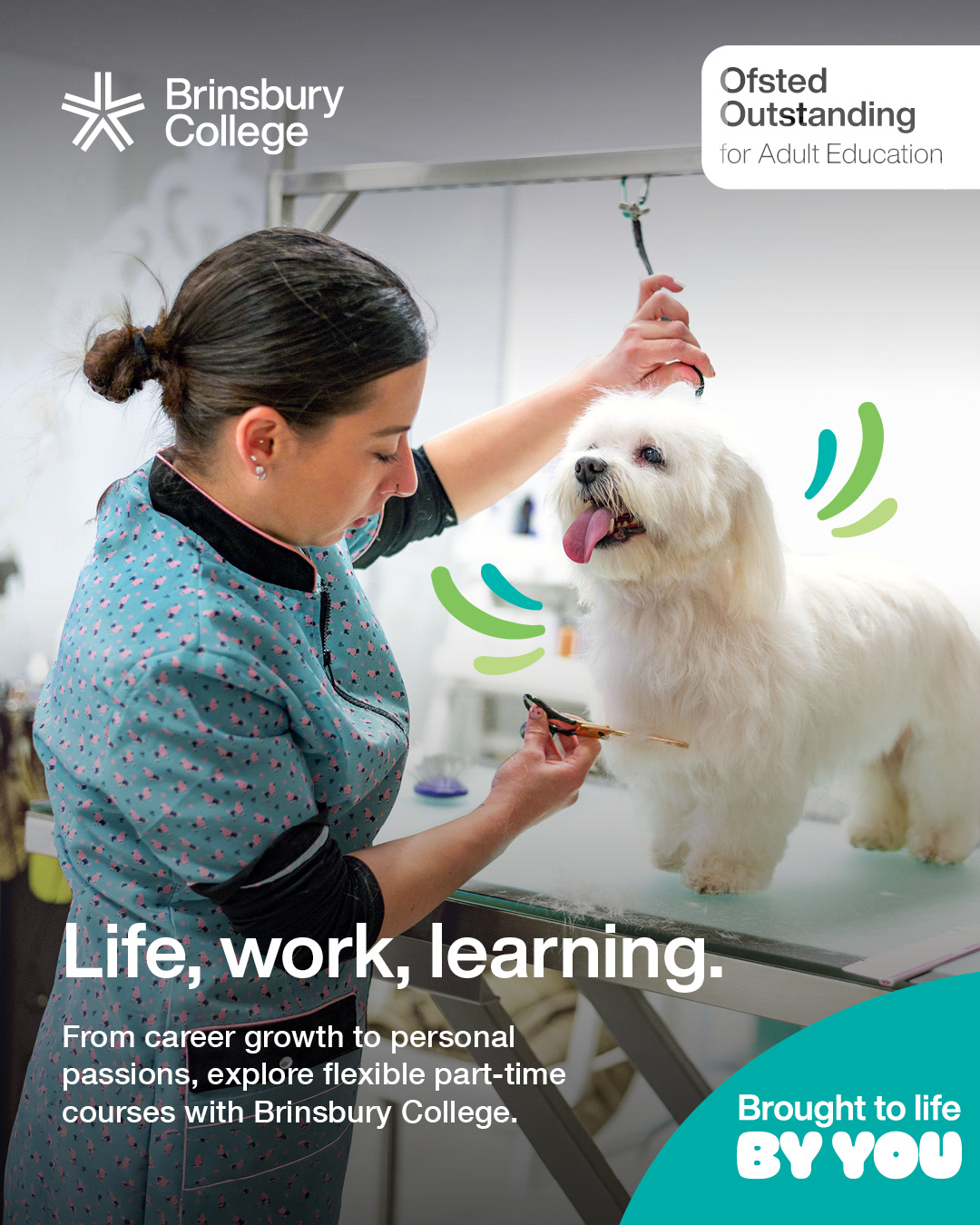 Brinsbury College Facebook ad: From creative pursuits to career progression, discover…