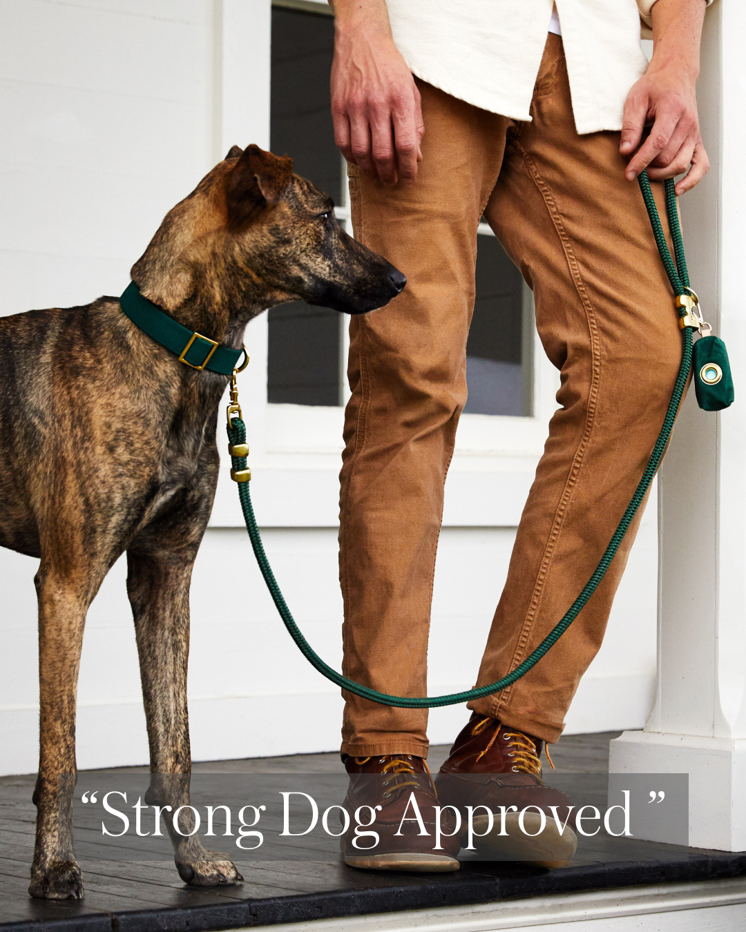The Foggy Dog Facebook ad