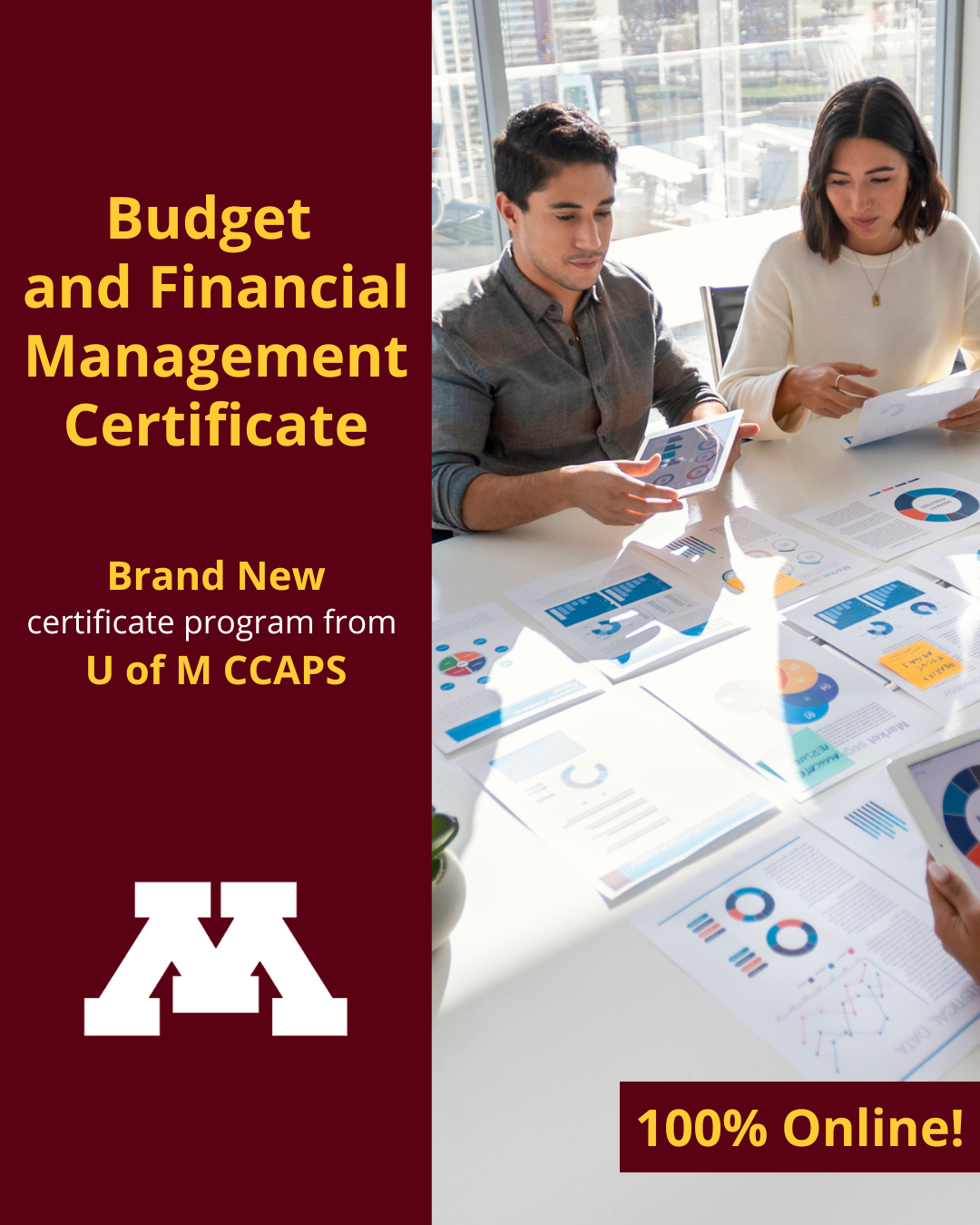 University of Minnesota College of Continuing & Professional Studies Facebook ad