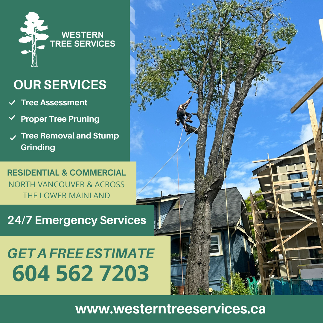 Western Tree Services Corp. Facebook ad: Tree Services in North Vancouver| Western Tree Services