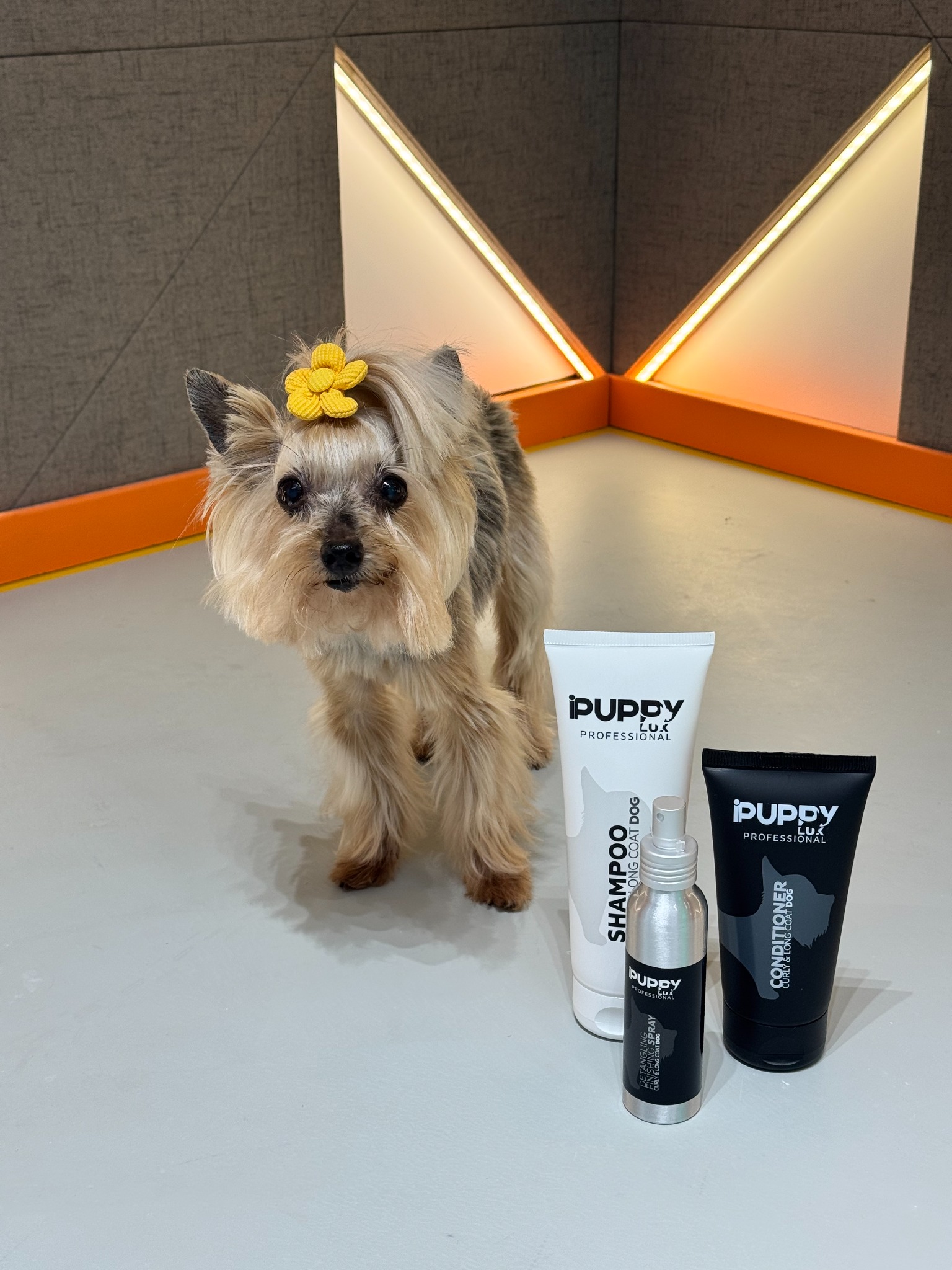 IPuppyLux Professional Facebook ad