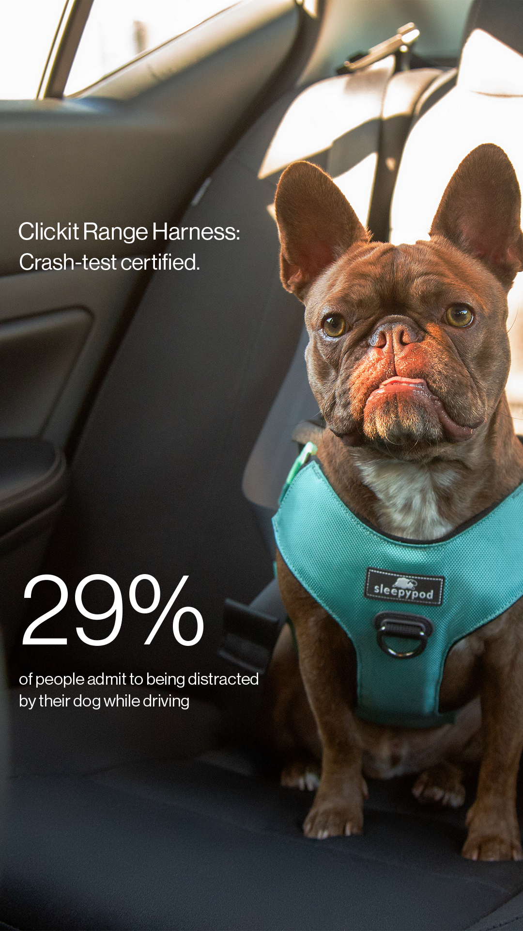 Sleepypod Facebook ad