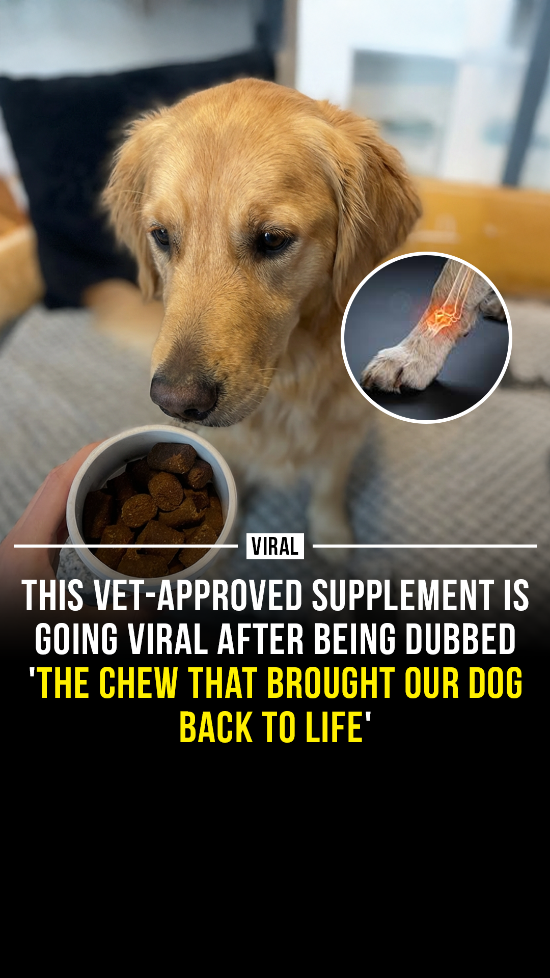 Wuffes Facebook ad