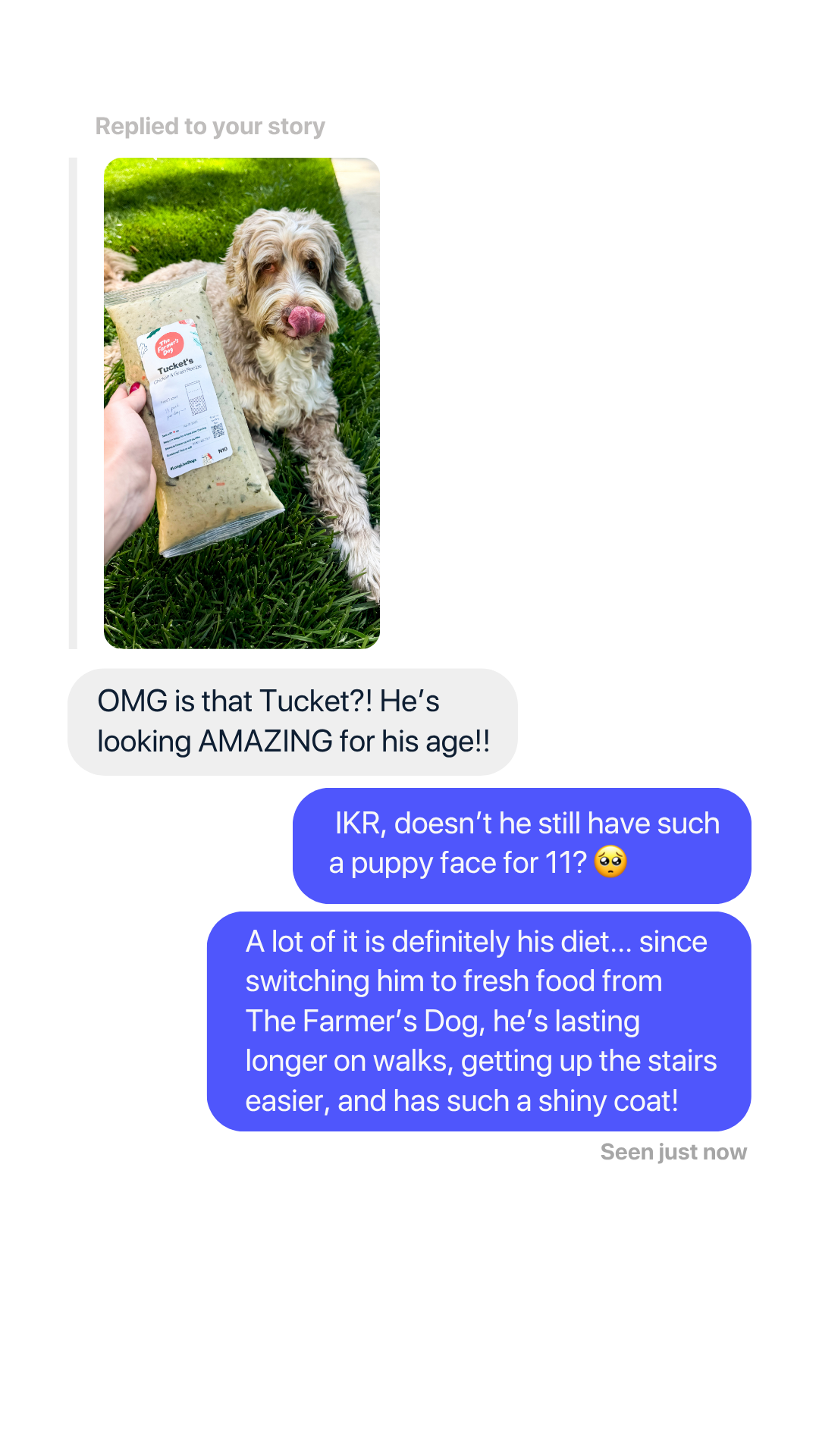 Rounds Of A Paws Facebook ad