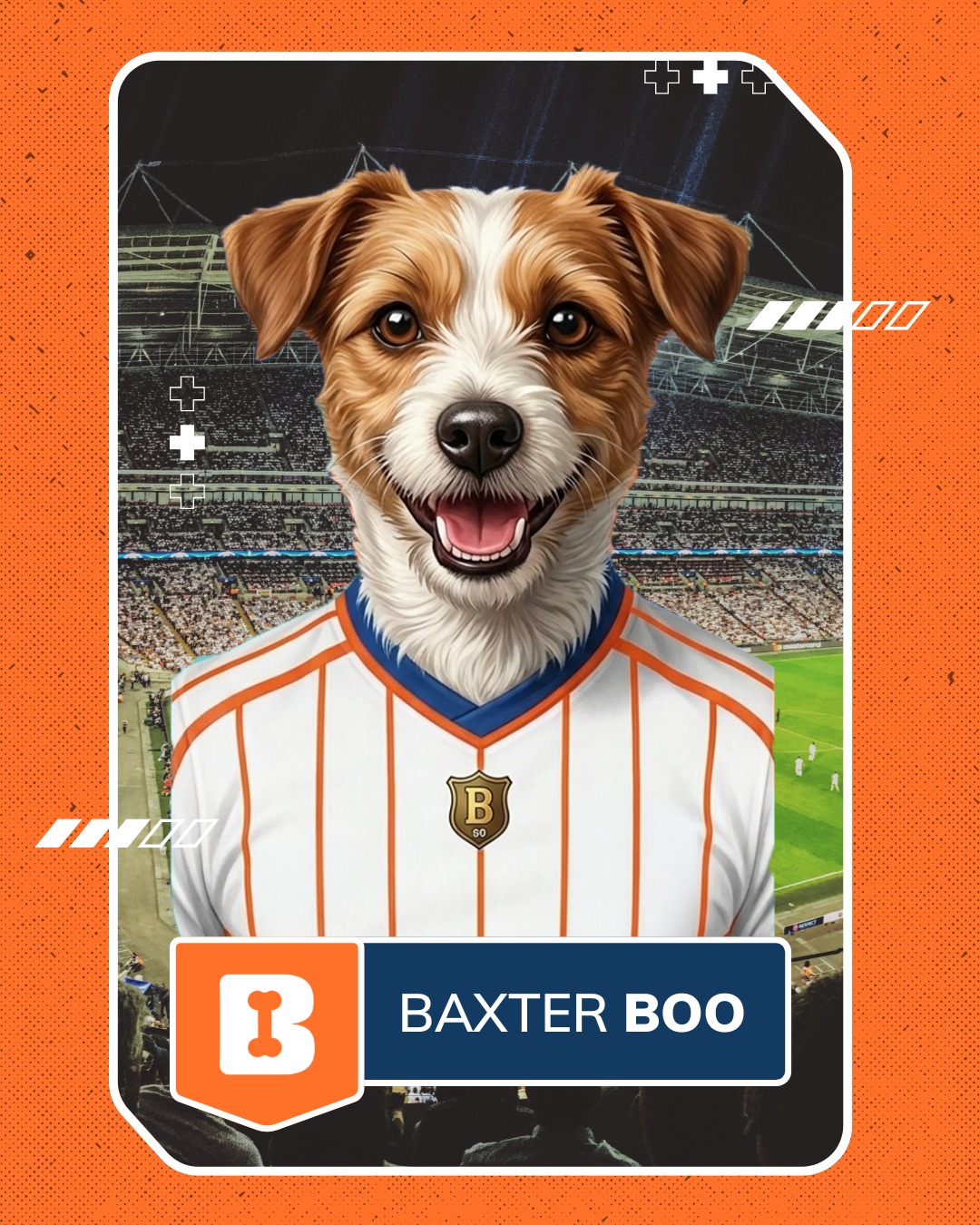 BaxterBoo.com Facebook ad