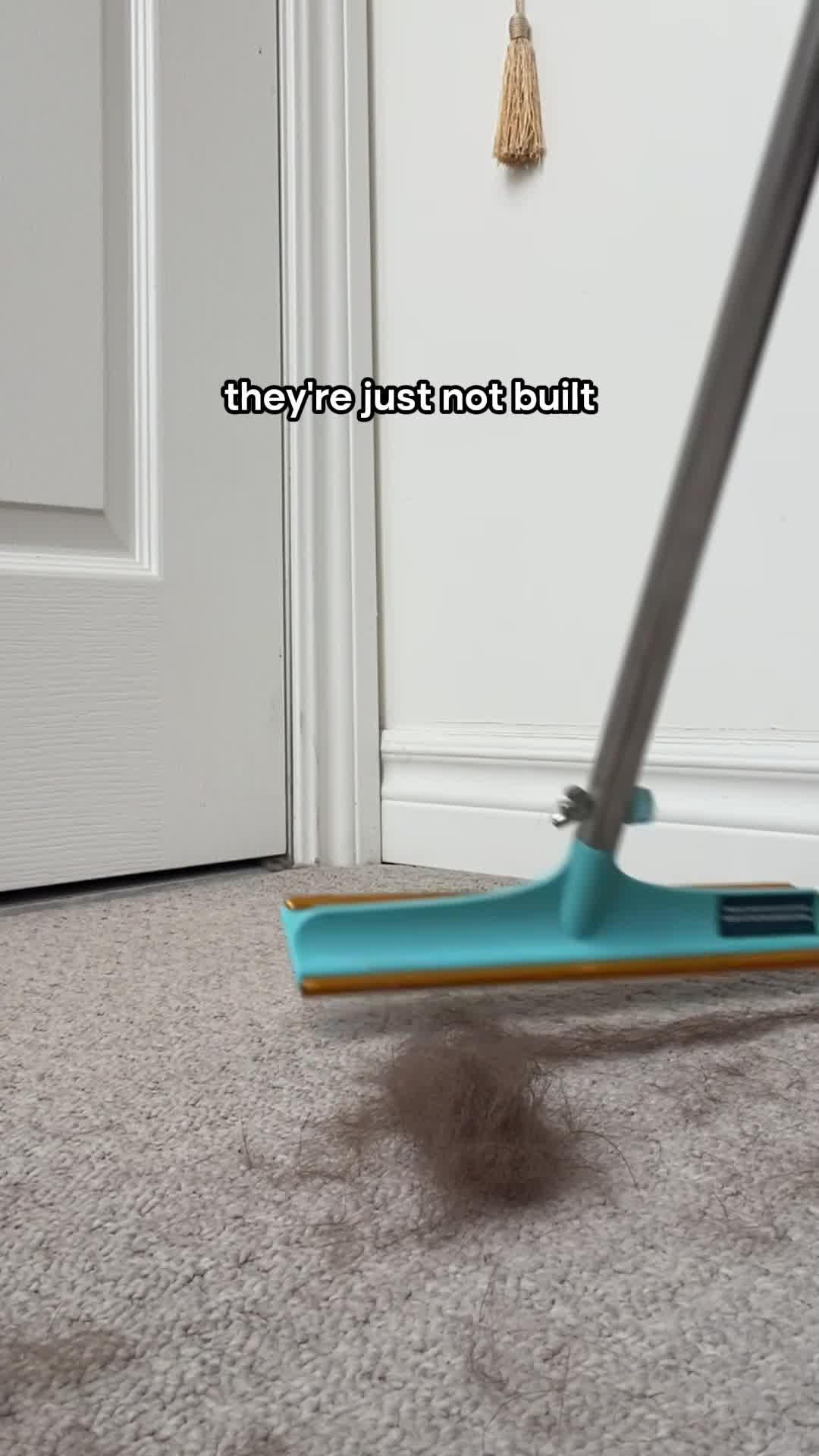 Gandalf the Corgi Facebook ad: The #1 Pet Hair/Lint/Dust Cleaner
