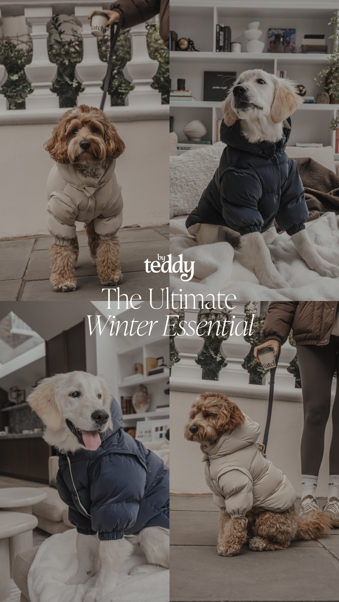 By Teddy Facebook ad