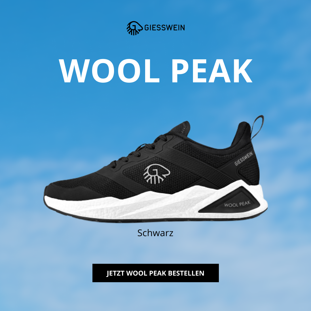 Giesswein Facebook ad