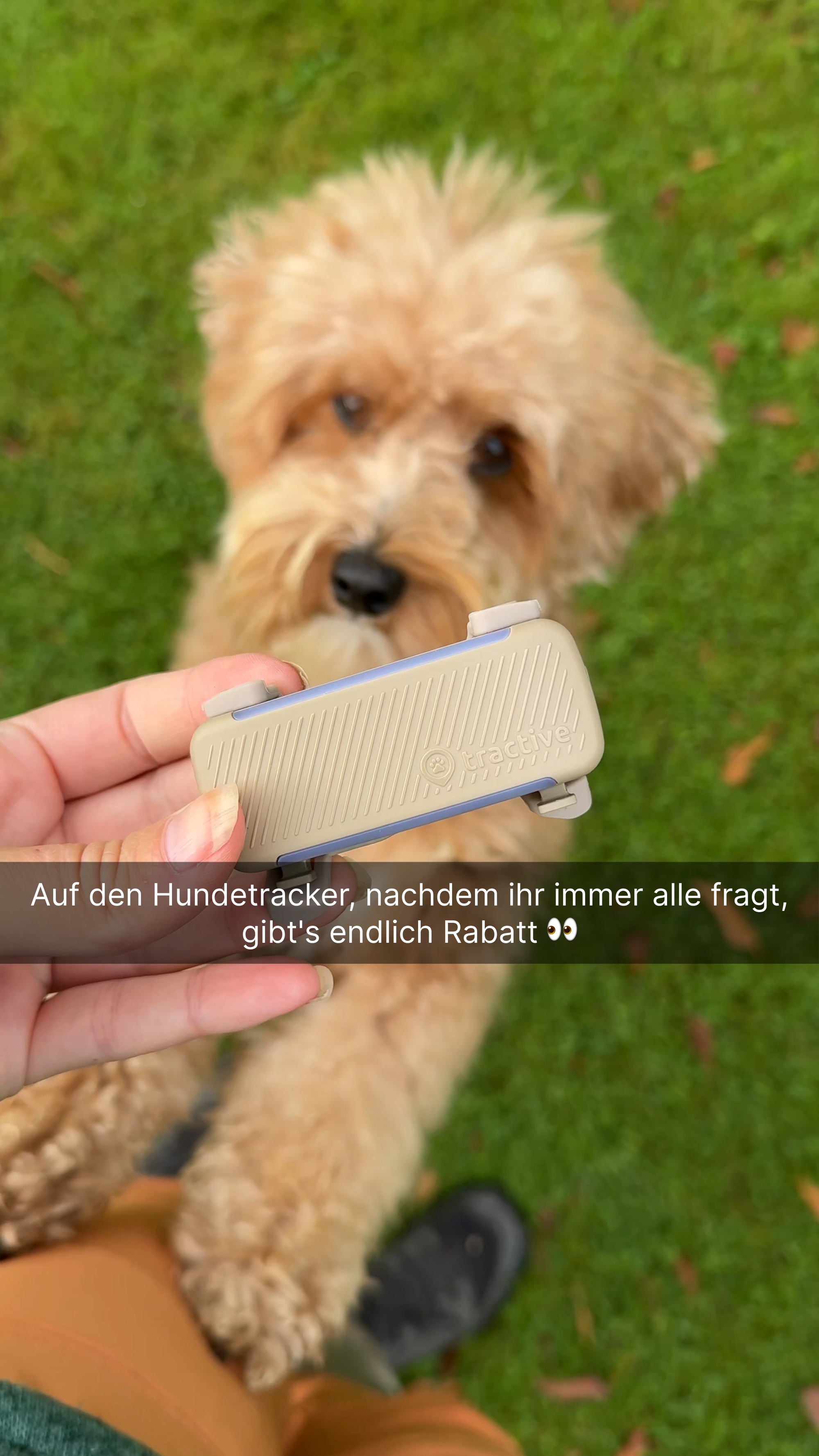 Tractive Facebook ad