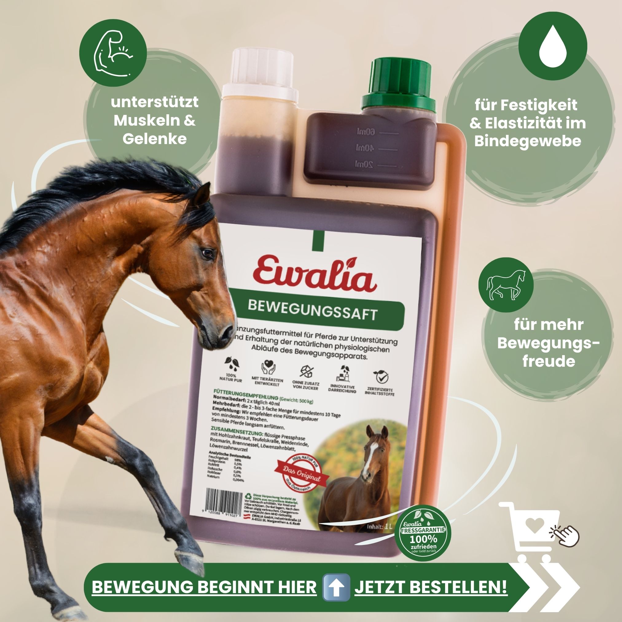 Ewalia Facebook ad