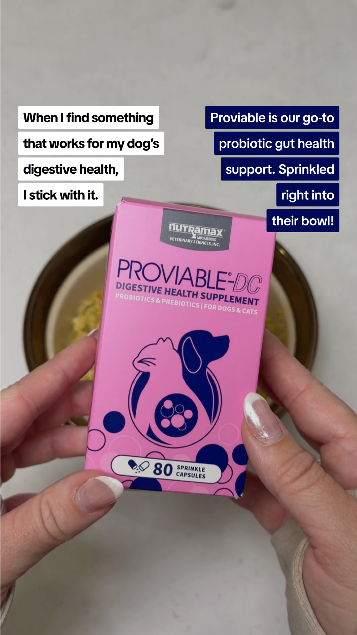 Nutramax Laboratories Facebook ad: Gut health support for your pet
