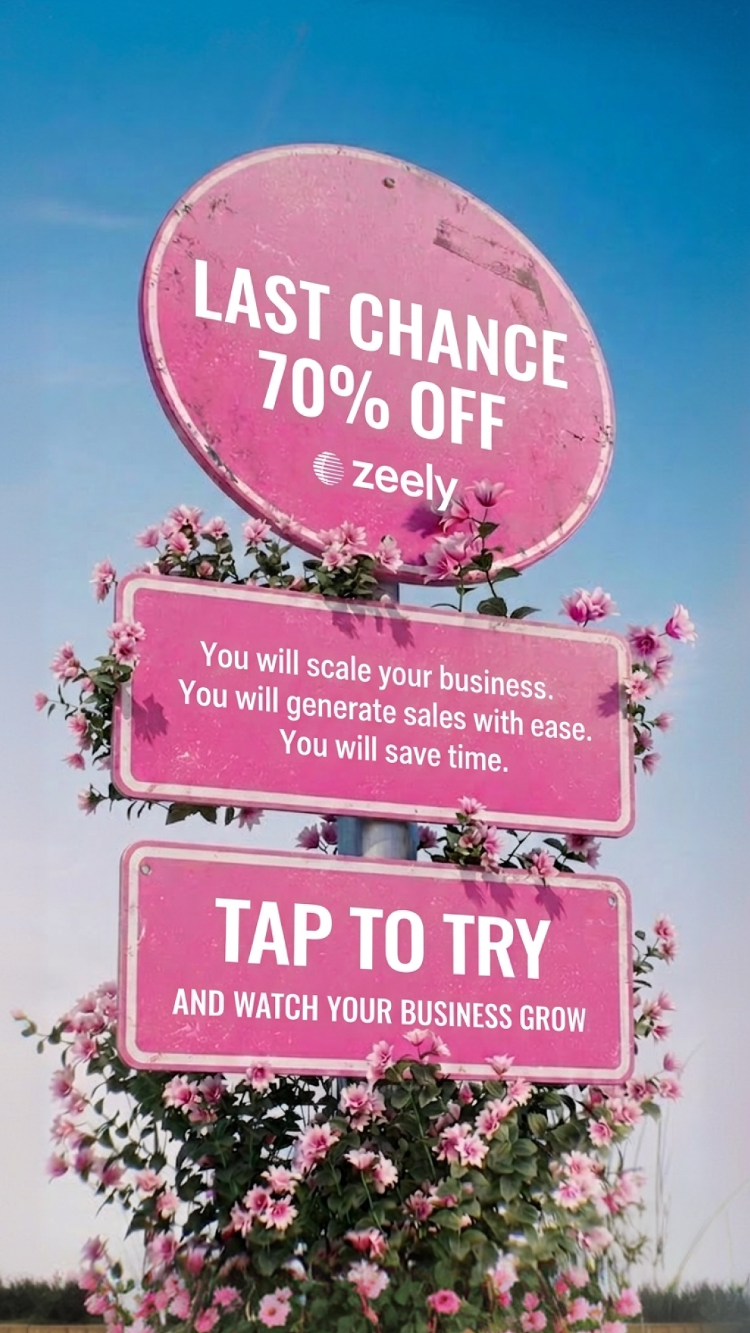 Zeely: Grow Sales with AI Facebook ad