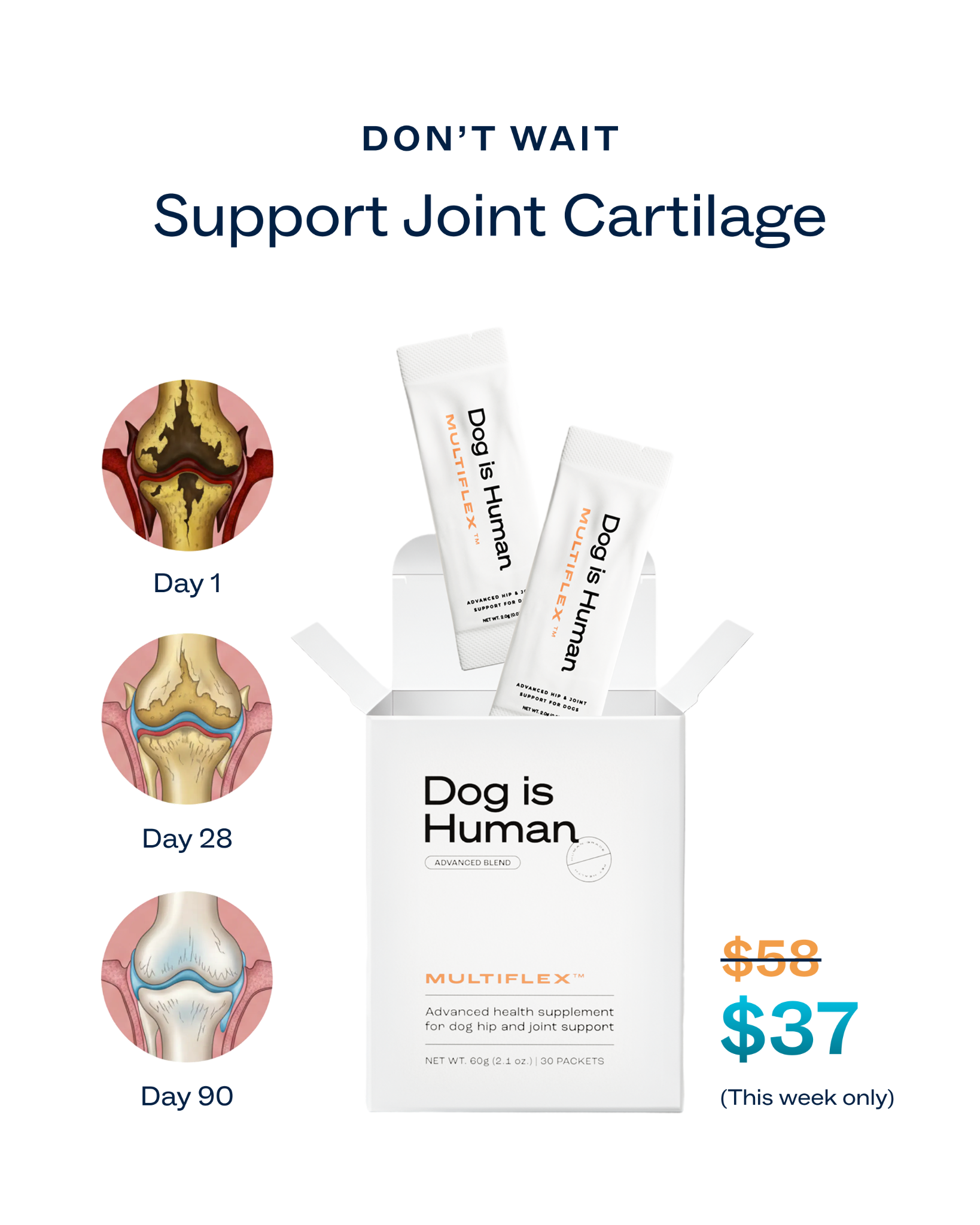 Dog is Human Facebook ad
