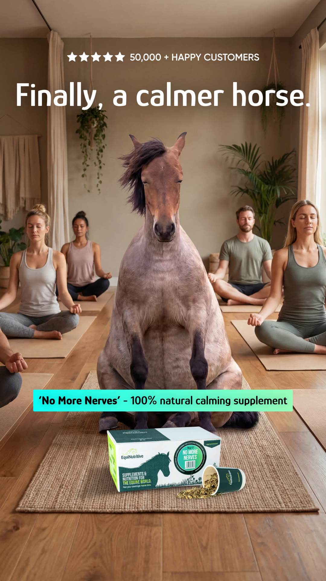 EquiNutritive Facebook ad