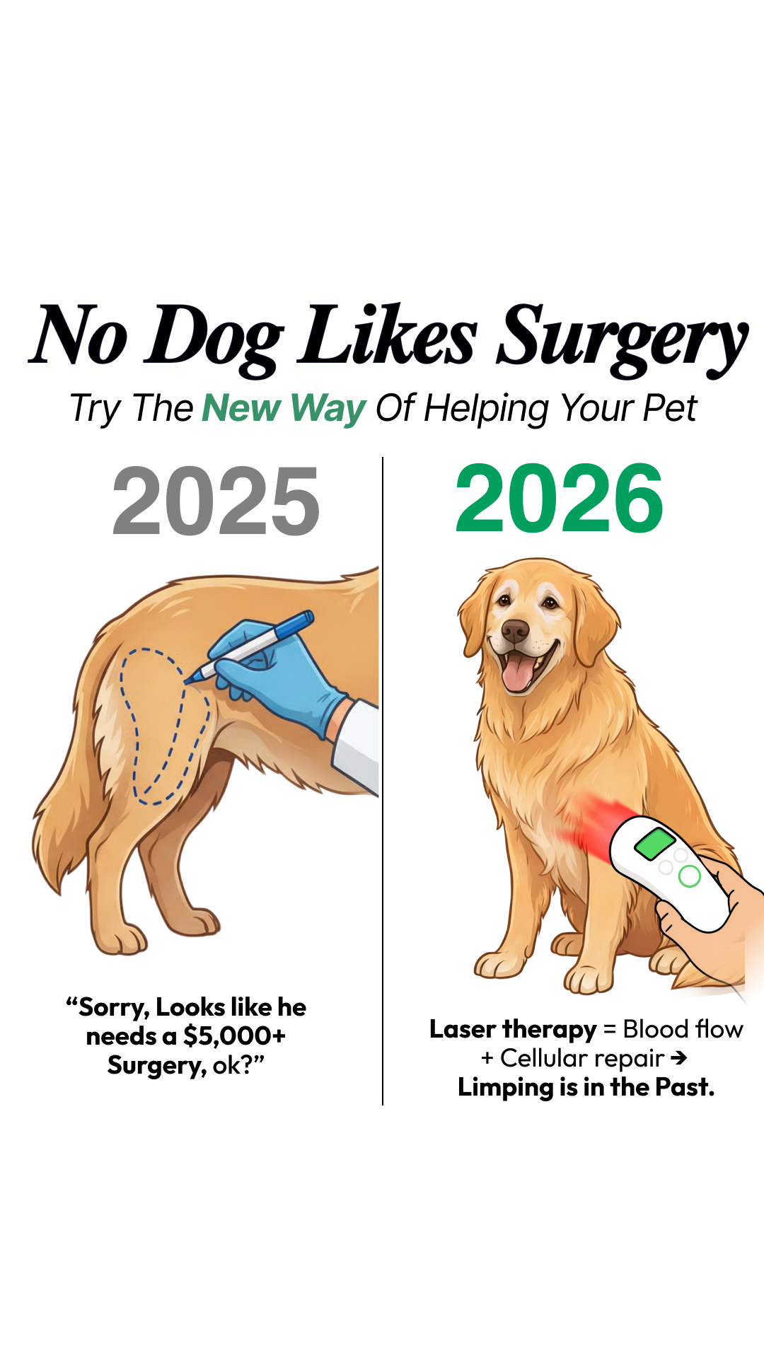 Helio Pet Facebook ad