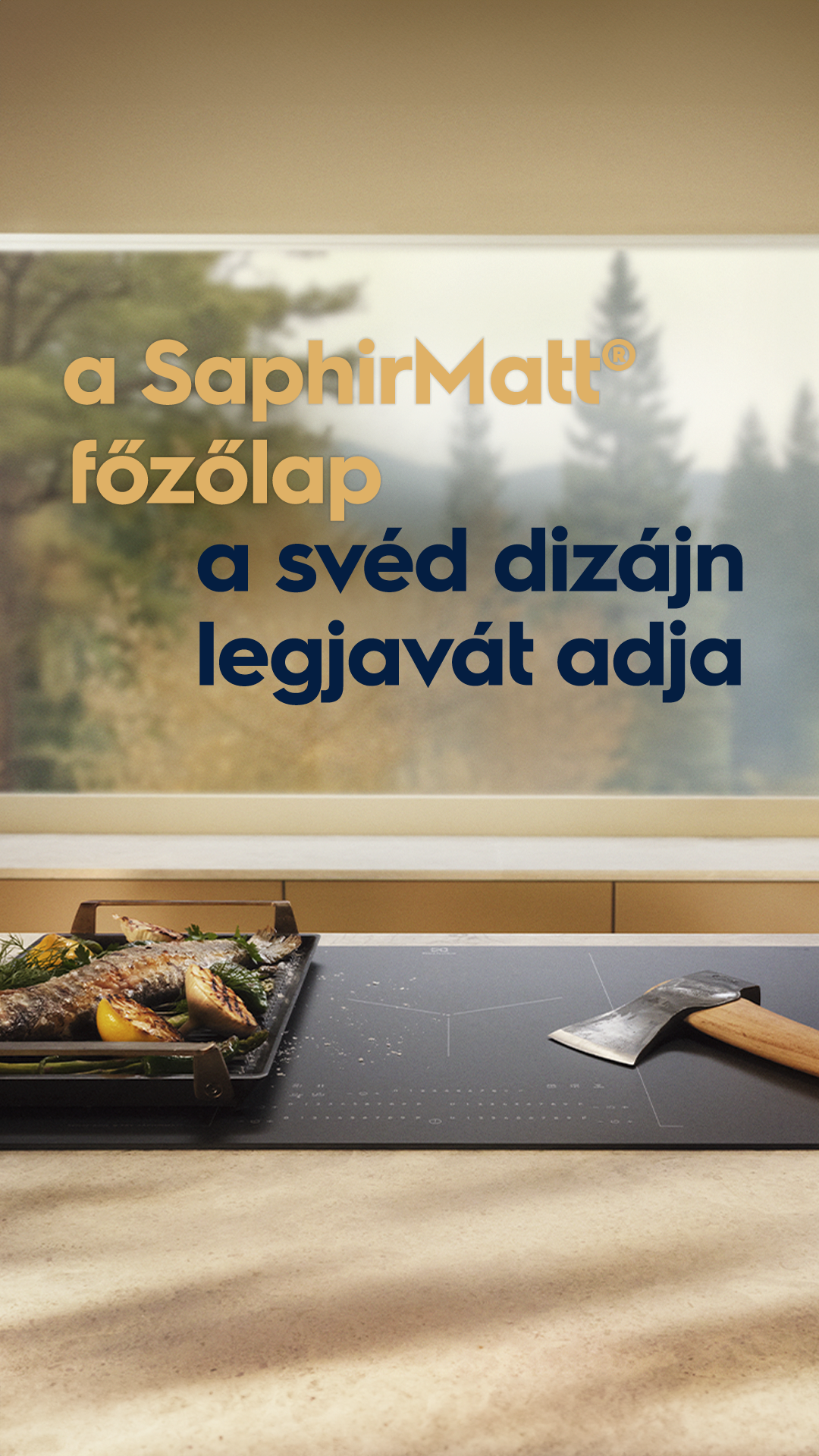 Electrolux Facebook ad from Aug 12, 2025
