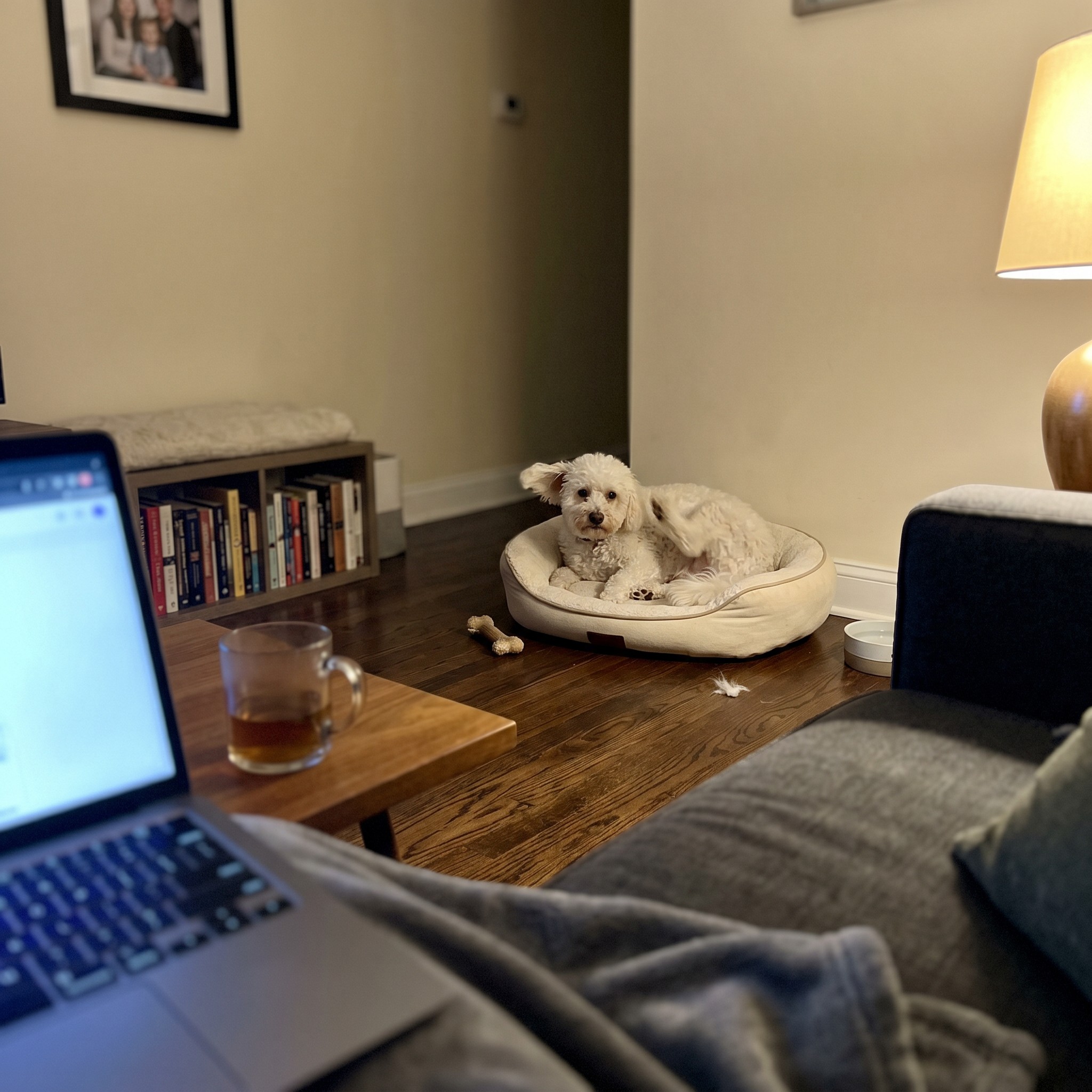 Rafitheminiaussie Facebook ad: I Spent $1,200 Figuring Out Why She Itches