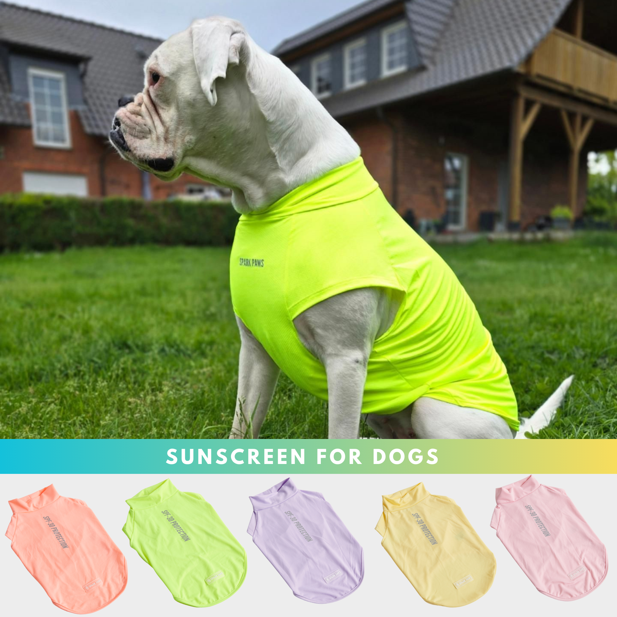 Spark Paws Facebook ad