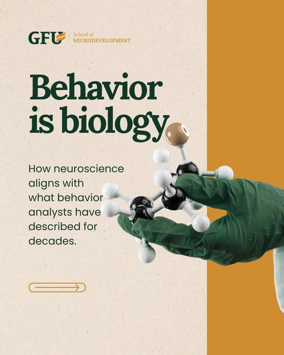 Greenfort Neurodevelopment Facebook ad