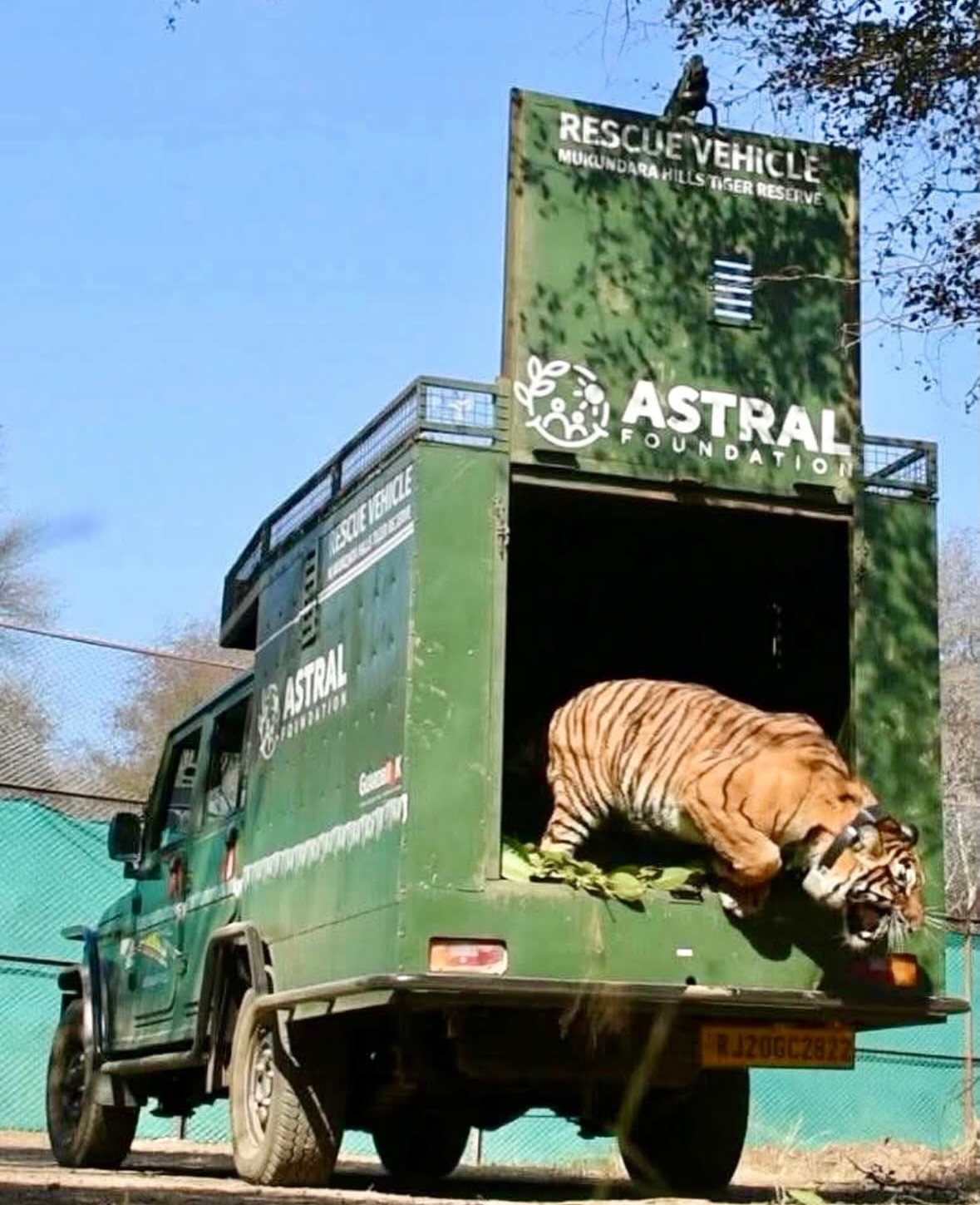 Astral Foundation Facebook ad: At Astral Foundation, we focus on conserving wildlife…