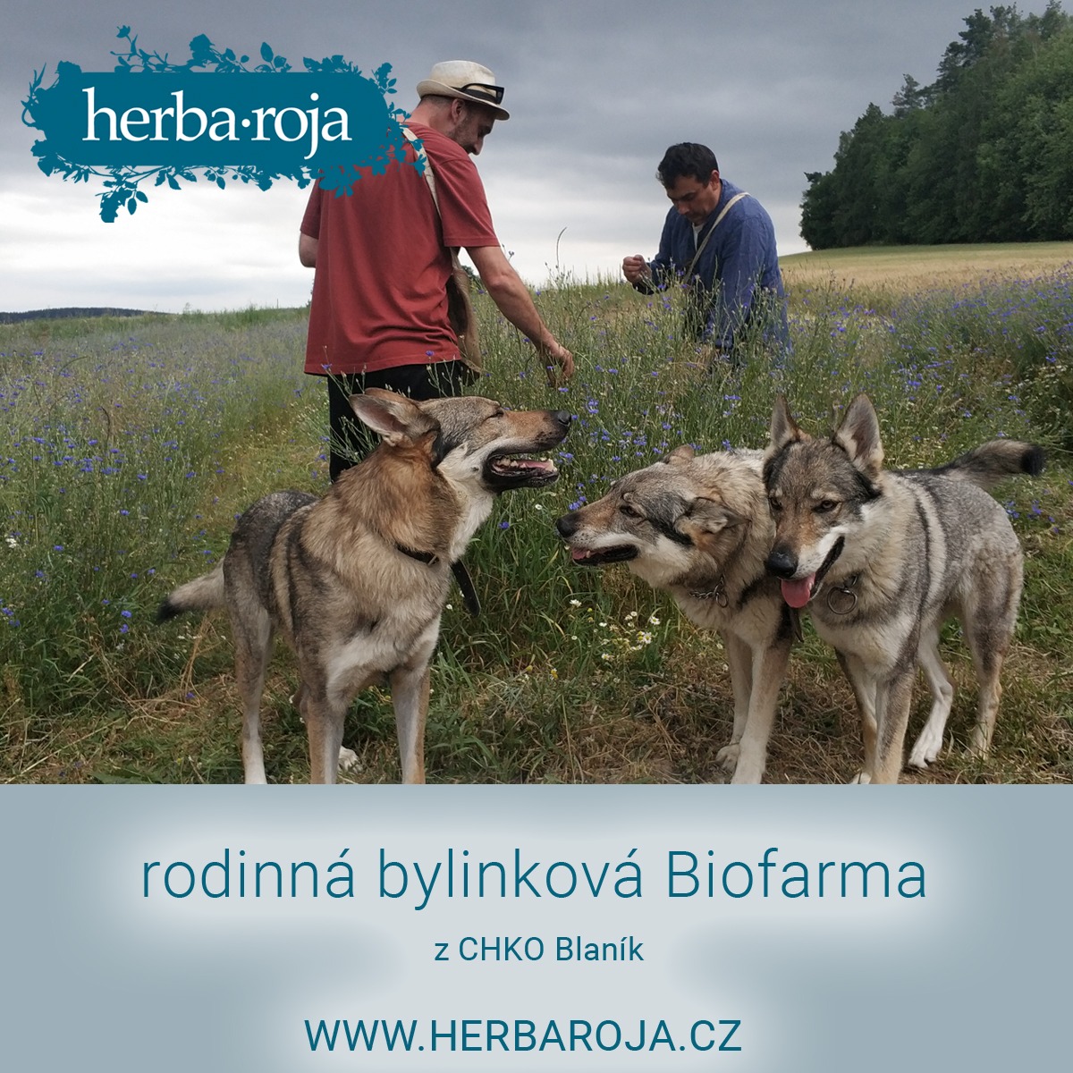 Herba Roja Facebook ad: Herba·Roja | přírodní kosmetika a produkty z léčivých…