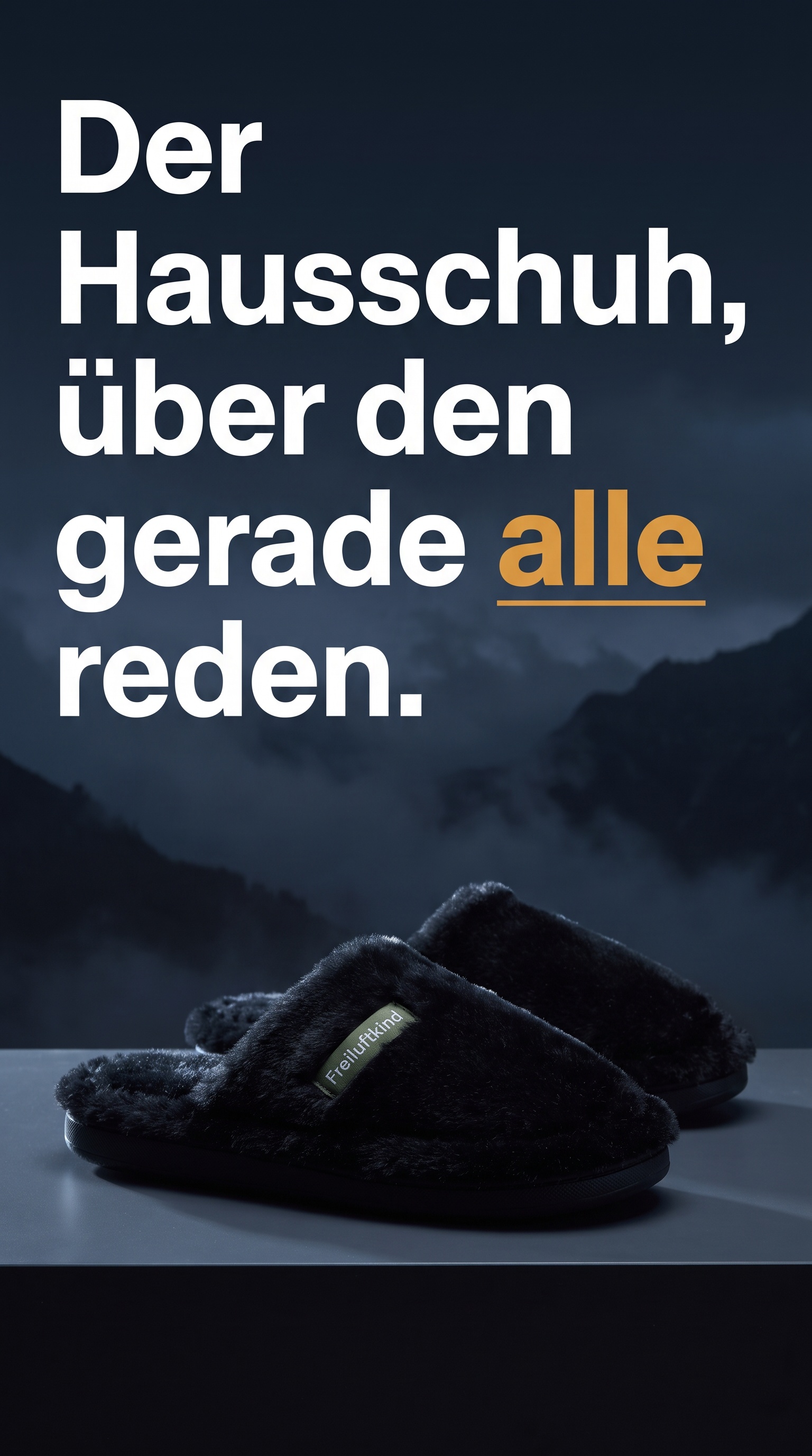 Freiluftkind Facebook ad: Homie, der orthopädische Hausschuh, den gerade alle tragen