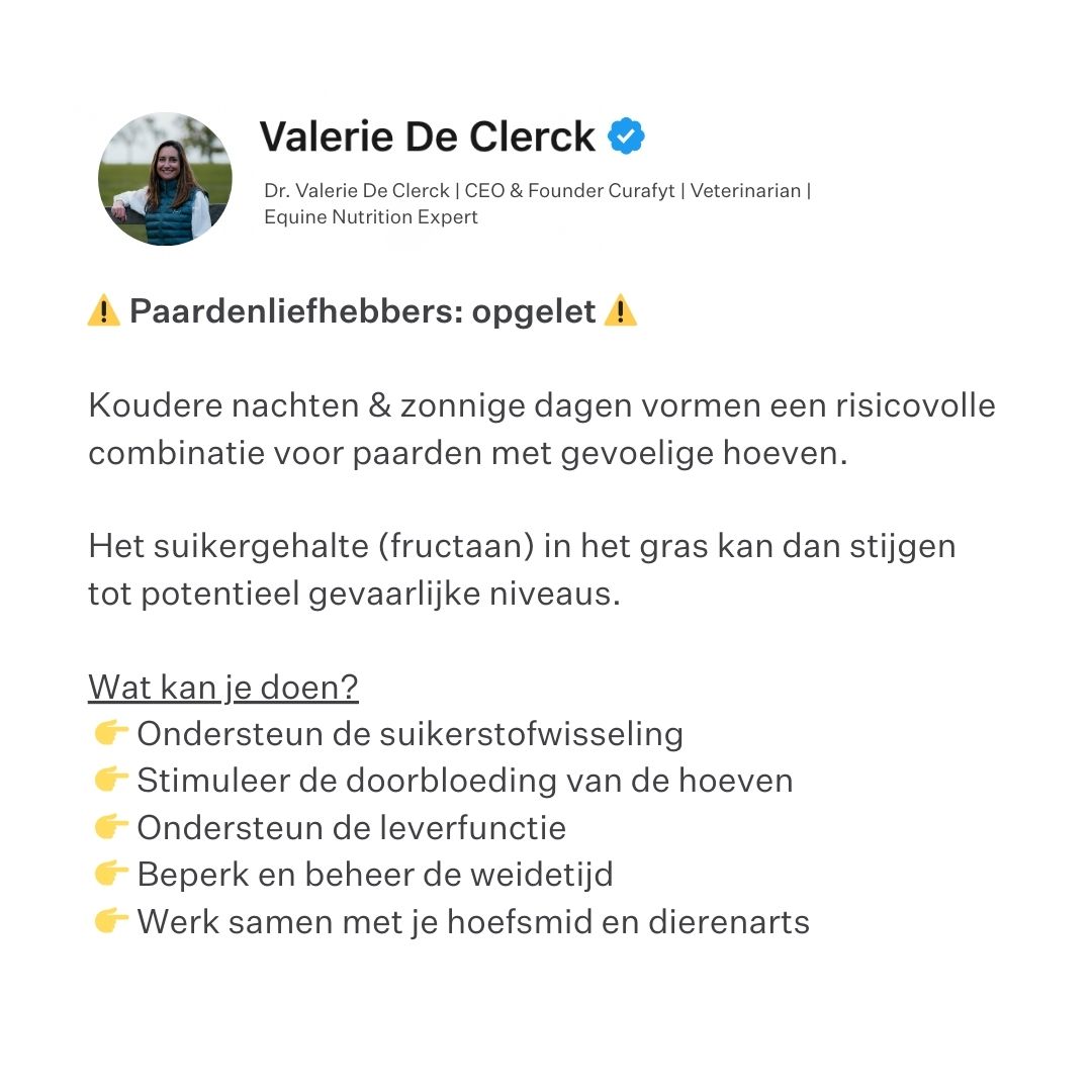 Leading Equestrians of Europe Facebook ad: Voor paarden met gevoelige hoeven en/of overgewicht