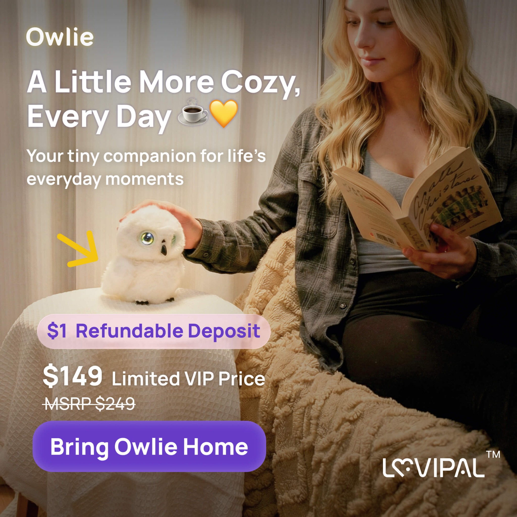 Owlie Facebook ad