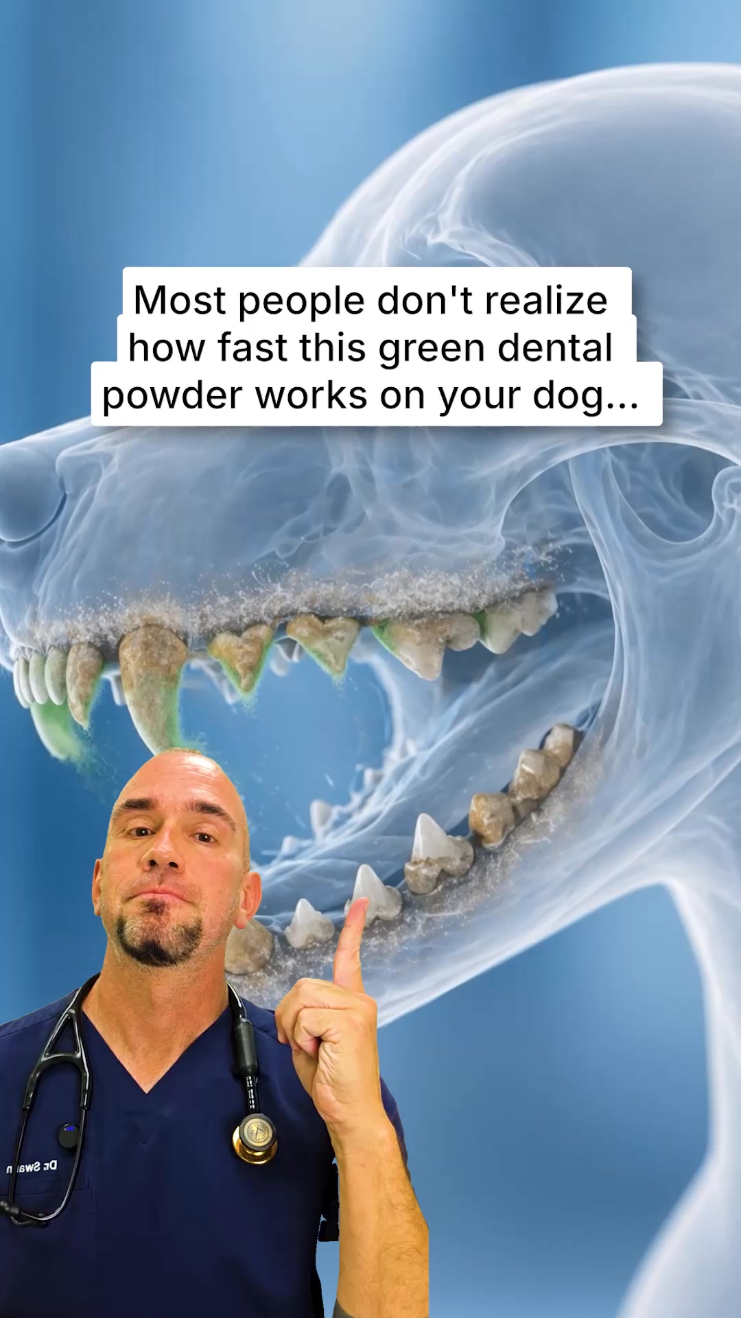 PetLab Co. Facebook ad: The award winning dog dental powder that blew me away