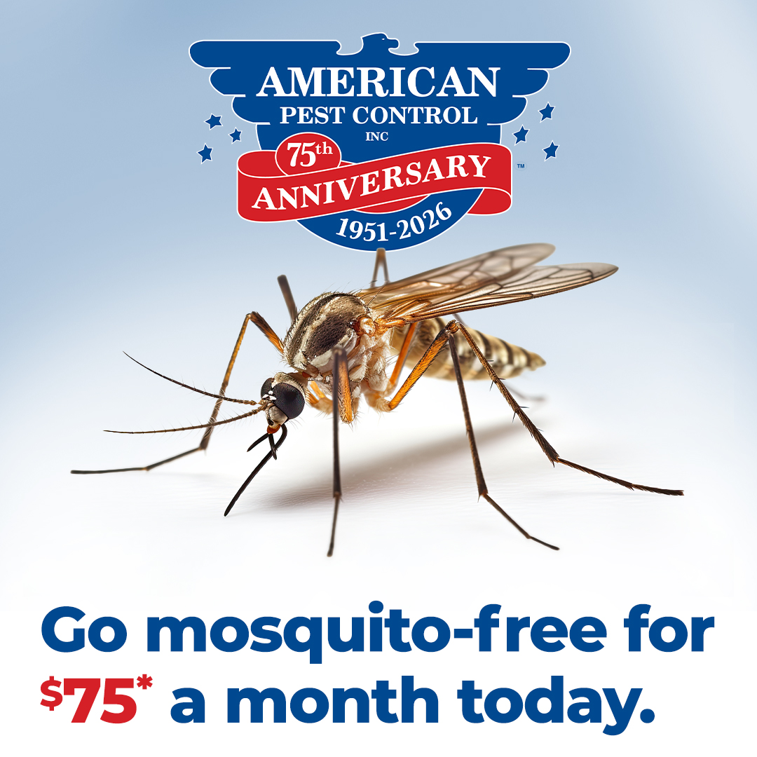 American Pest Control, Inc. Facebook ad
