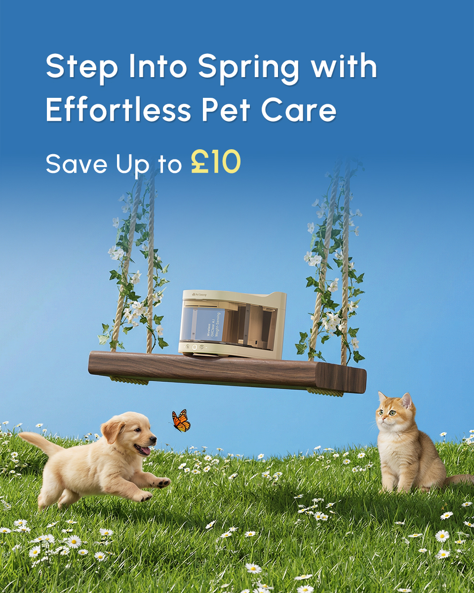PetSnowy Facebook ad