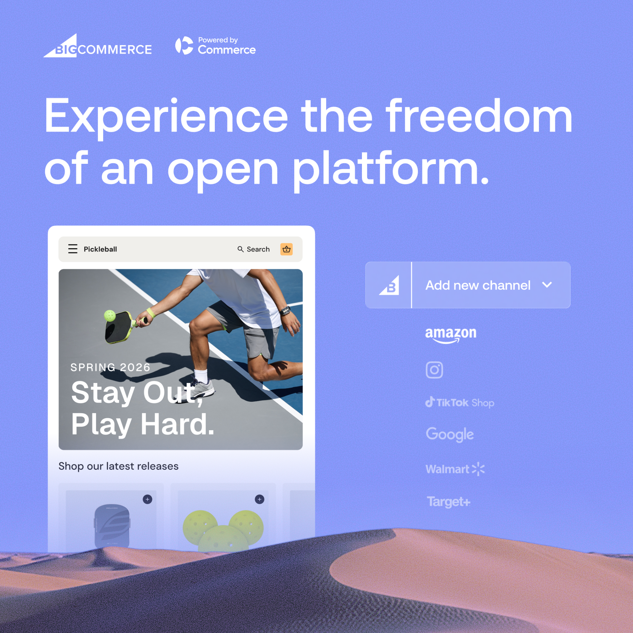 BigCommerce Facebook ad
