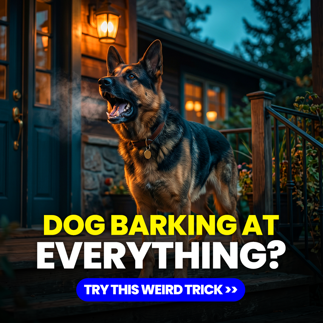 Mike James Dog Training Facebook ad